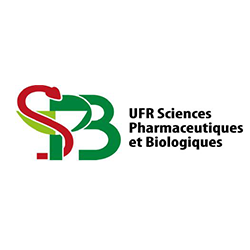 logo2