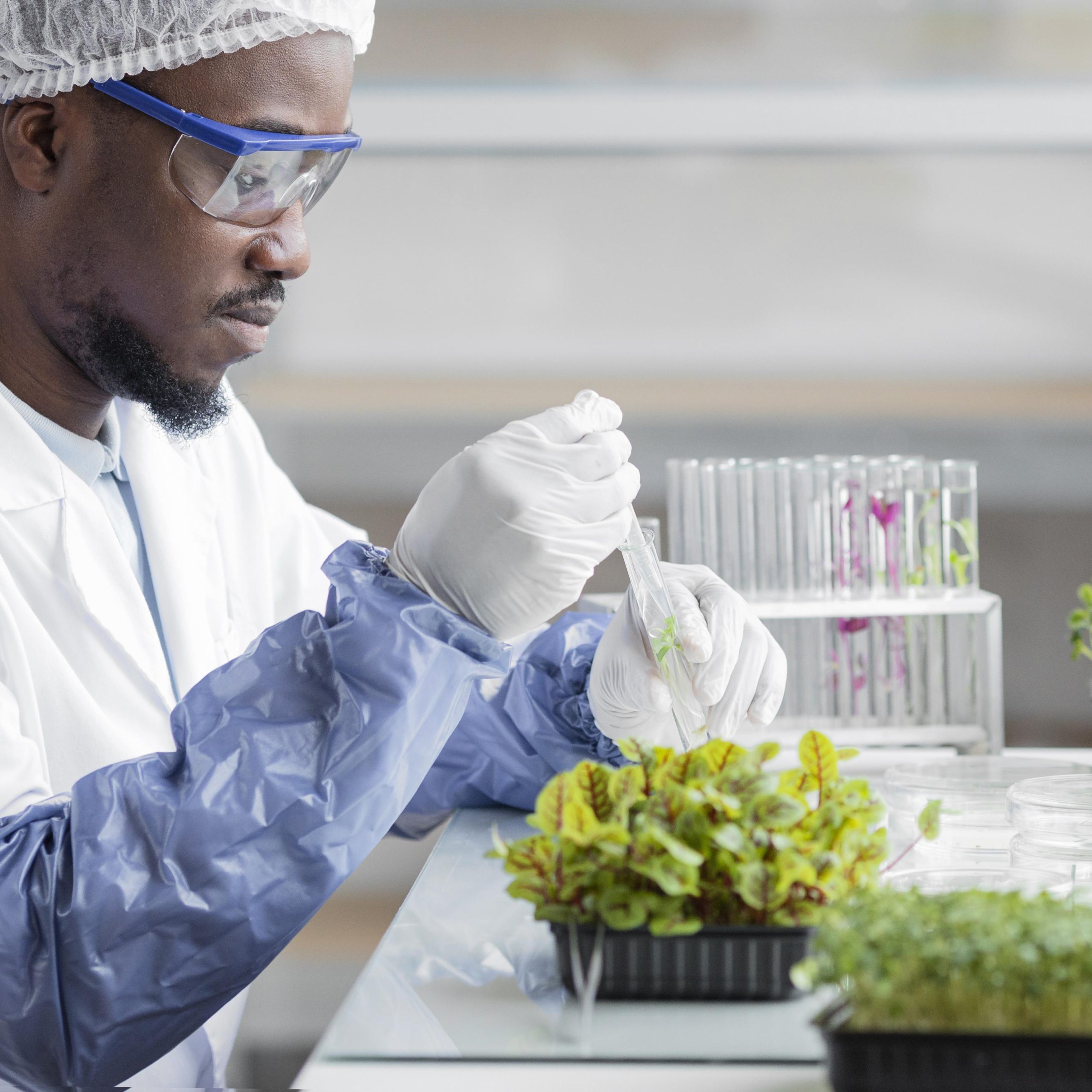 vue laterale du chercheur masculin dans laboratoire biotechnologie plante scaled